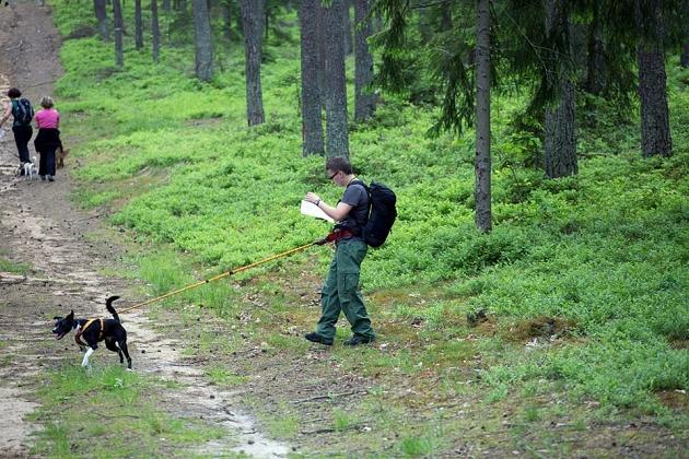 Zawody Dogtrekkingu – po raz pierwszy w Lęborku