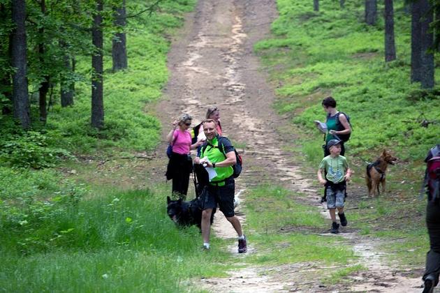 Zawody Dogtrekkingu – po raz pierwszy w Lęborku