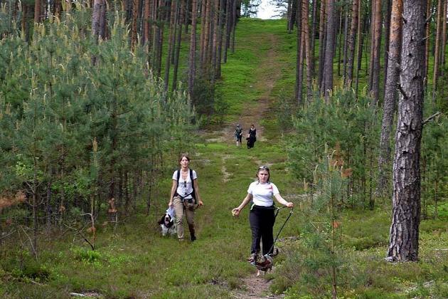 Zawody Dogtrekkingu – po raz pierwszy w Lęborku
