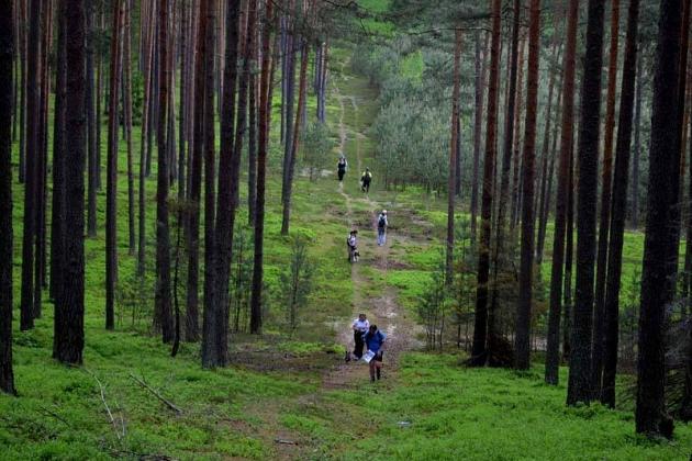 Zawody Dogtrekkingu – po raz pierwszy w Lęborku