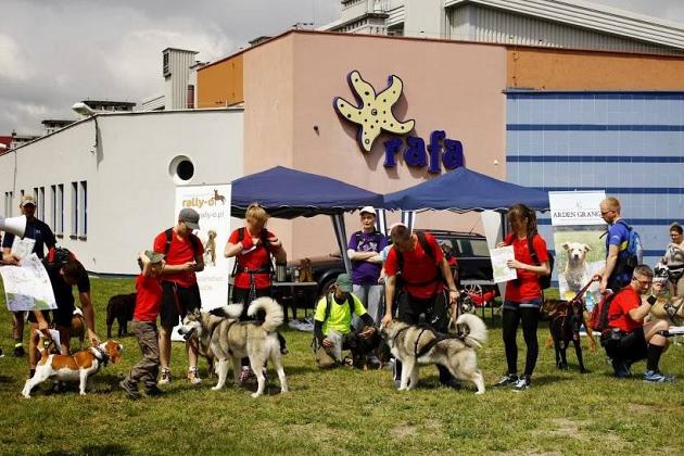 Zawody Dogtrekkingu – po raz pierwszy w Lęborku