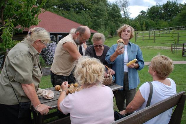 15-lecie Harcerskiego Kręgu Seniorów „Dęby”
