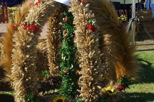 Powiatowe święto plonów