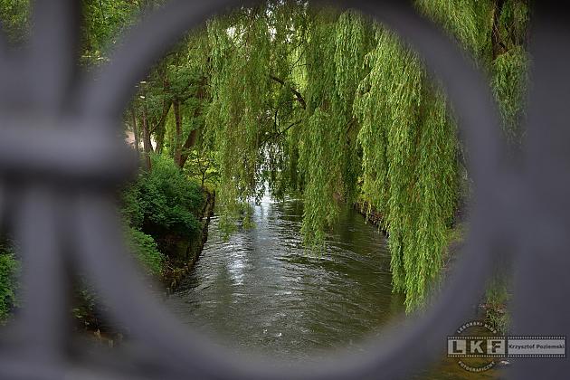 Rzeka Łeba w Lęborku