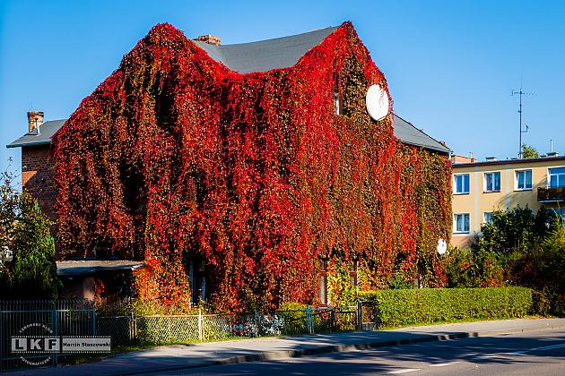 Kamienica na ulicy Gdańskiej