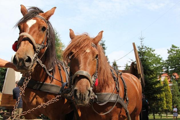 Lęborskie Dni Jakubowe AD 2014