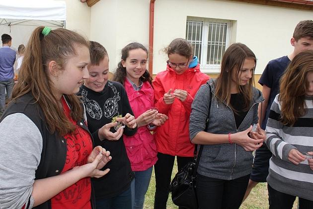 Piknik Naukowy w Gimnazjum nr 1