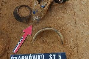 Cenne znaleziska z Czarnówka