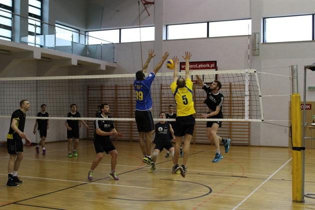 Bojan Żubry i Drywa Kowalstwo w finale Amatorskiej Ligi Siatkówki
