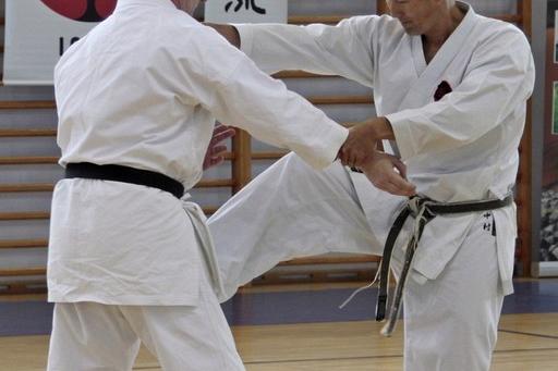 Sensei Tetsuji Nakamura w Lęborku