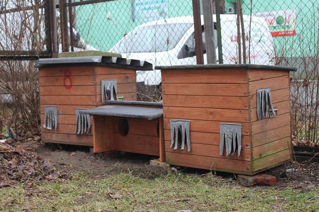 Nowe budki dla kotów przed zimą