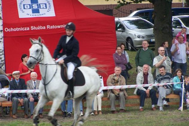 Widowiskowe zawody jeździeckie w Parku Chrobrego
