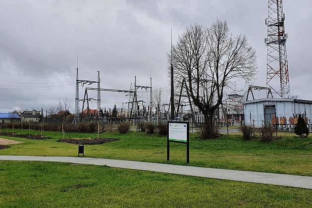 „Więcej drzew i krzewów w mieście – zielony Lębork”