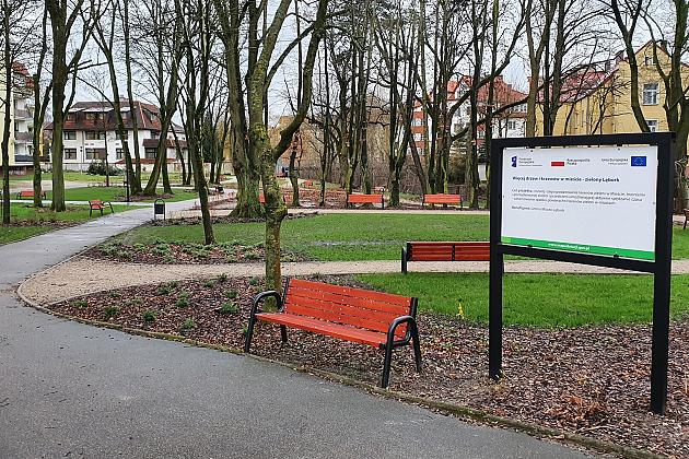 „Więcej drzew i krzewów w mieście – zielony Lębork”