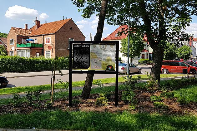 „Więcej drzew i krzewów w mieście – zielony Lębork”