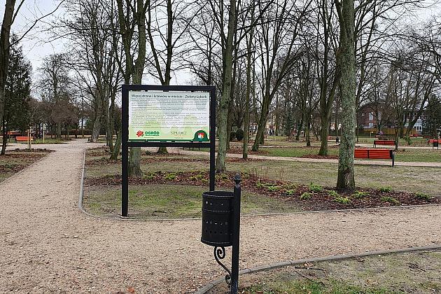 „Więcej drzew i krzewów w mieście – zielony Lębork”