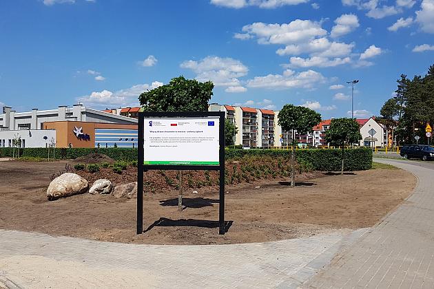 „Więcej drzew i krzewów w mieście – zielony Lębork”