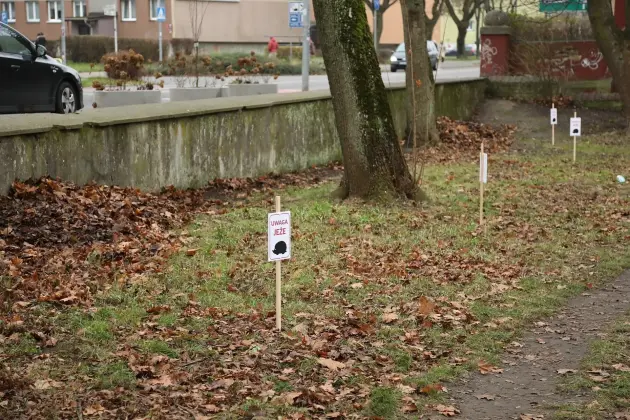 Zimowe azyle dla jeży w parku im. Mieczysława Michalskiego