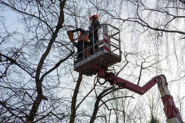 Lębork ruszył z wiosennymi porządkami