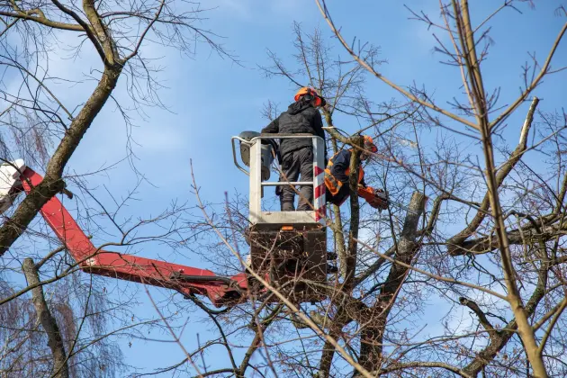 Lębork ruszył z wiosennymi porządkami