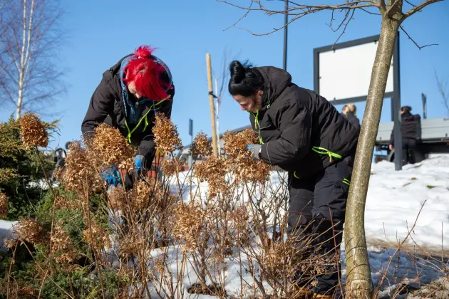 Lębork ruszył z wiosennymi porządkami