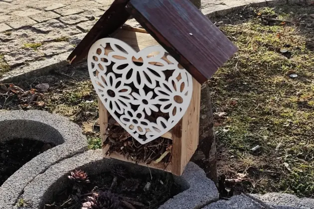 Wspólne działania dzieci i seniorów wokół Bazy