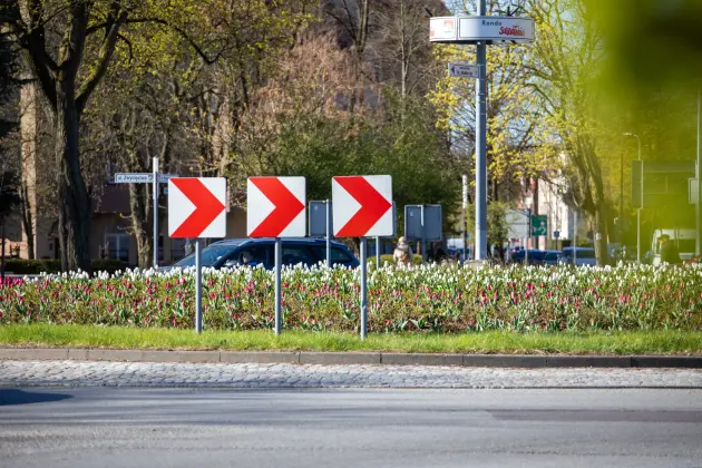 Tulipanowe Rondo Solidarności w biało-czerwonej odsłonie