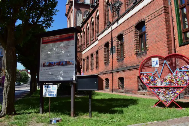 Miski z wodą dla psów ponownie stanęły przed ratuszem