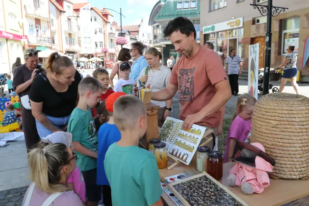 Wystartowała Letnia Czytelnia pod chmurką