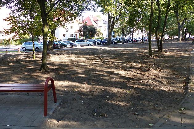 Rusza projekt „Zielony Lębork”. Na początek Park im. Michalskiego i staw przy ul. Gdańskiej