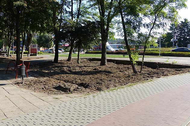 Rusza projekt „Zielony Lębork”. Na początek Park im. Michalskiego i staw przy ul. Gdańskiej