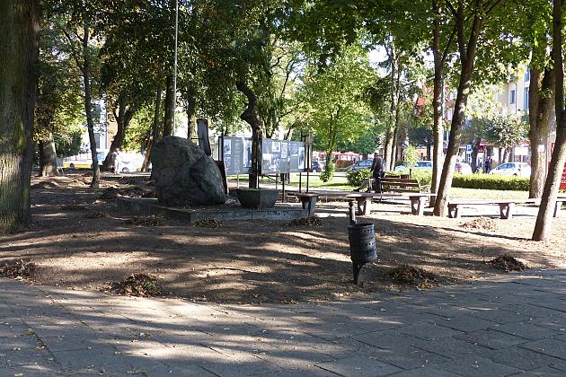 Rusza projekt „Zielony Lębork”. Na początek Park im. Michalskiego i staw przy ul. Gdańskiej