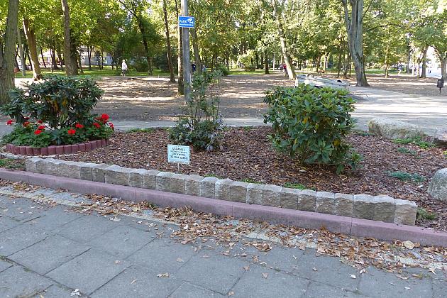 Rusza projekt „Zielony Lębork”. Na początek Park im. Michalskiego i staw przy ul. Gdańskiej