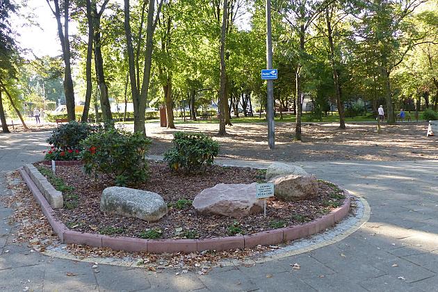 Rusza projekt „Zielony Lębork”. Na początek Park im. Michalskiego i staw przy ul. Gdańskiej