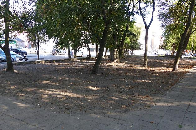 Rusza projekt „Zielony Lębork”. Na początek Park im. Michalskiego i staw przy ul. Gdańskiej