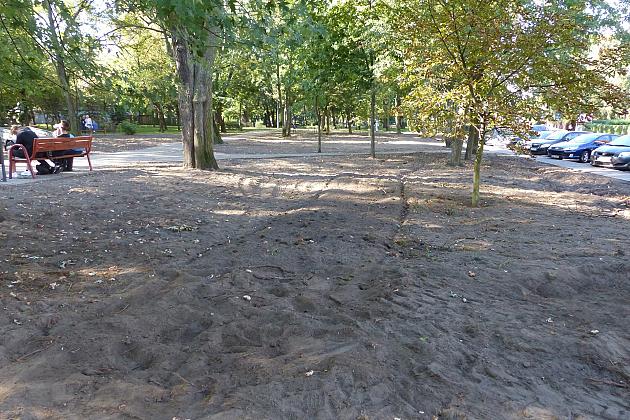 Rusza projekt „Zielony Lębork”. Na początek Park im. Michalskiego i staw przy ul. Gdańskiej