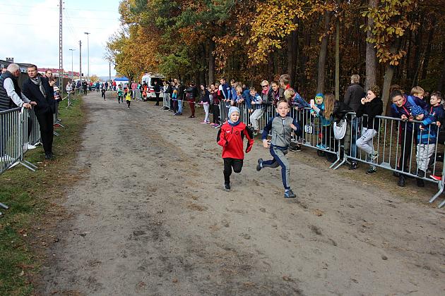 Indywidualne Biegi Przełajowe z okazji Święta Niepodległości