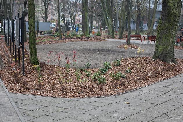 „Zielona rewolucja” w Parku im. Michalskiego