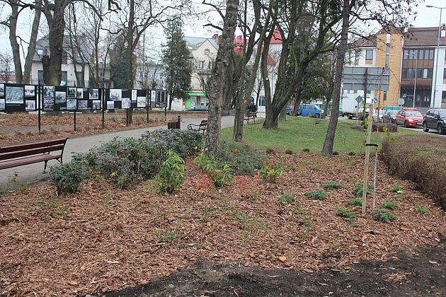 „Zielona rewolucja” w Parku im. Michalskiego
