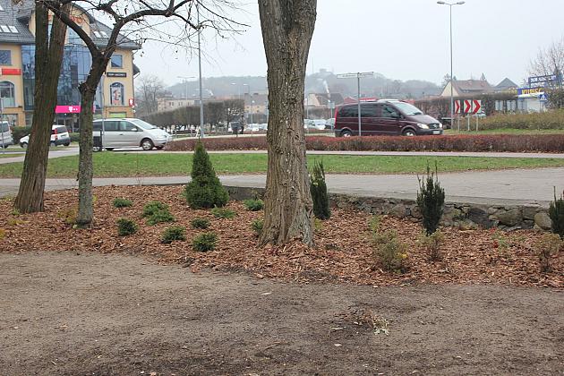 „Zielona rewolucja” w Parku im. Michalskiego