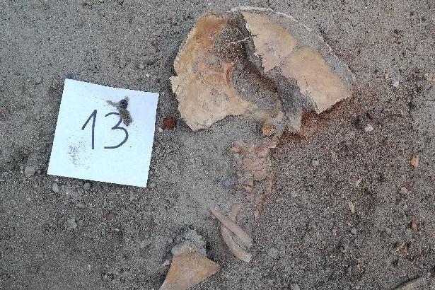 Kolejne archeologiczne znaleziska w pobliżu Sanktuarium św. Jakuba