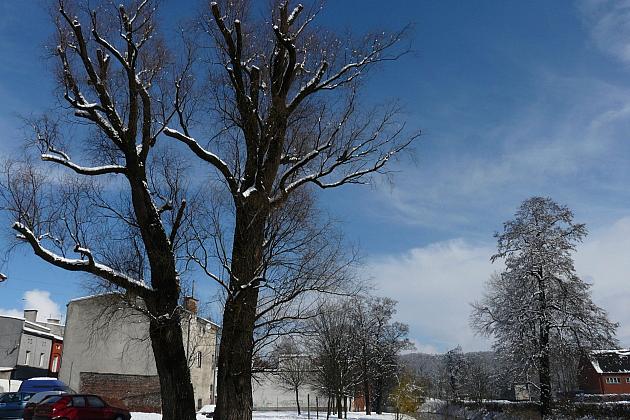 Na ratunek „Wodniczkom”