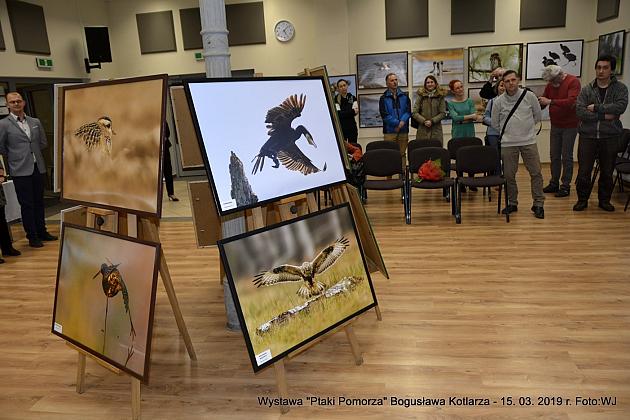 Obejrzyj  wystawę „Ptaki Pomorza”