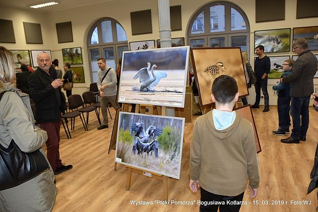 Obejrzyj  wystawę „Ptaki Pomorza”