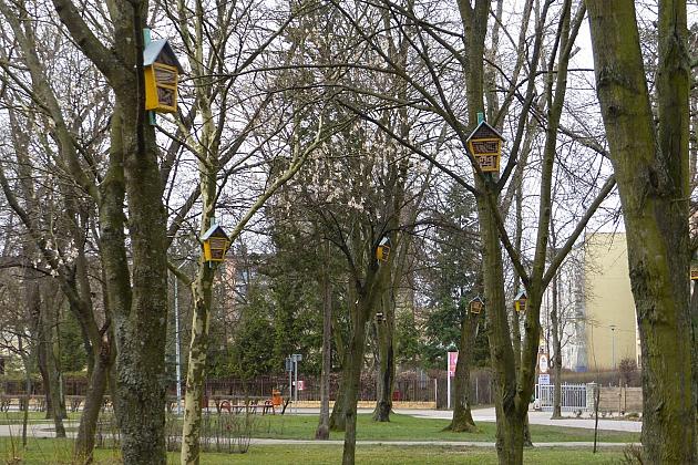 W Parku im. Michalskiego zawisły budki na ptaki i owady