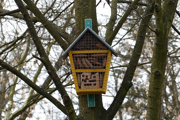 W Parku im. Michalskiego zawisły budki na ptaki i owady