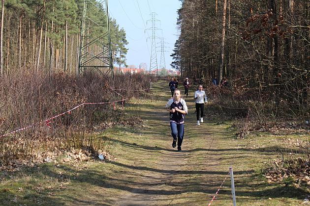 Biegi Przełajowe o Puchar Grand-Prix Lęborka