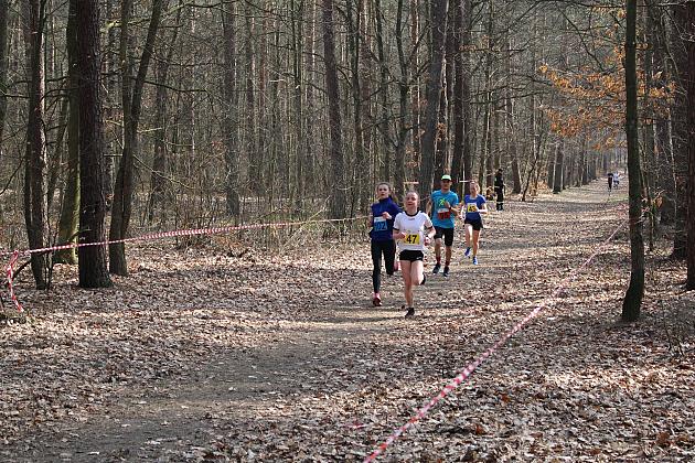 Biegi Przełajowe o Puchar Grand-Prix Lęborka