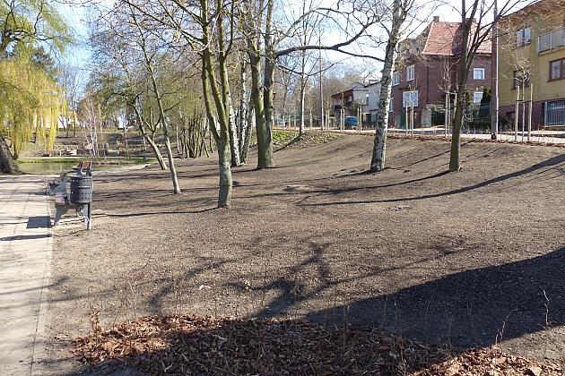 Zielono przy stawie w Parku Chrobrego