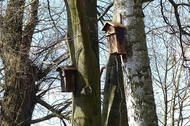 Zielono przy stawie w Parku Chrobrego